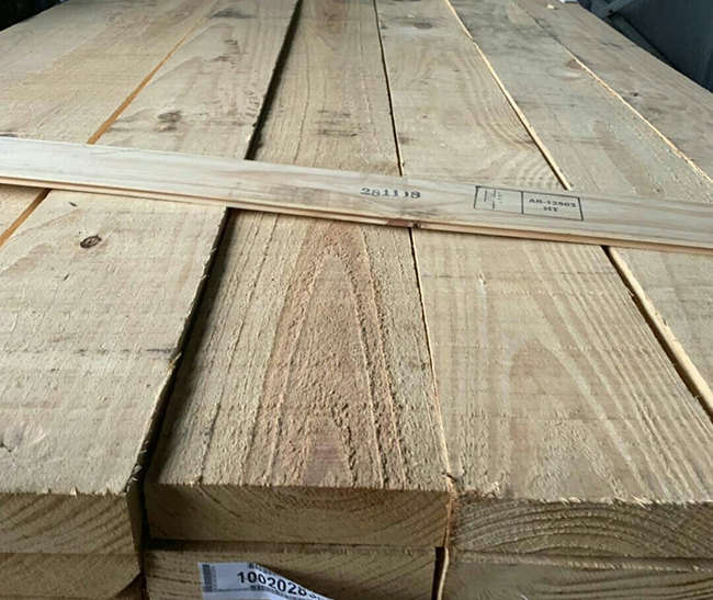 张掖阿根廷松木